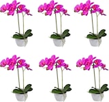 thumbnail of CREATIV green künstliche Pflanze Phalaenopsis, 33 cm, "Real Touch", 6er Set