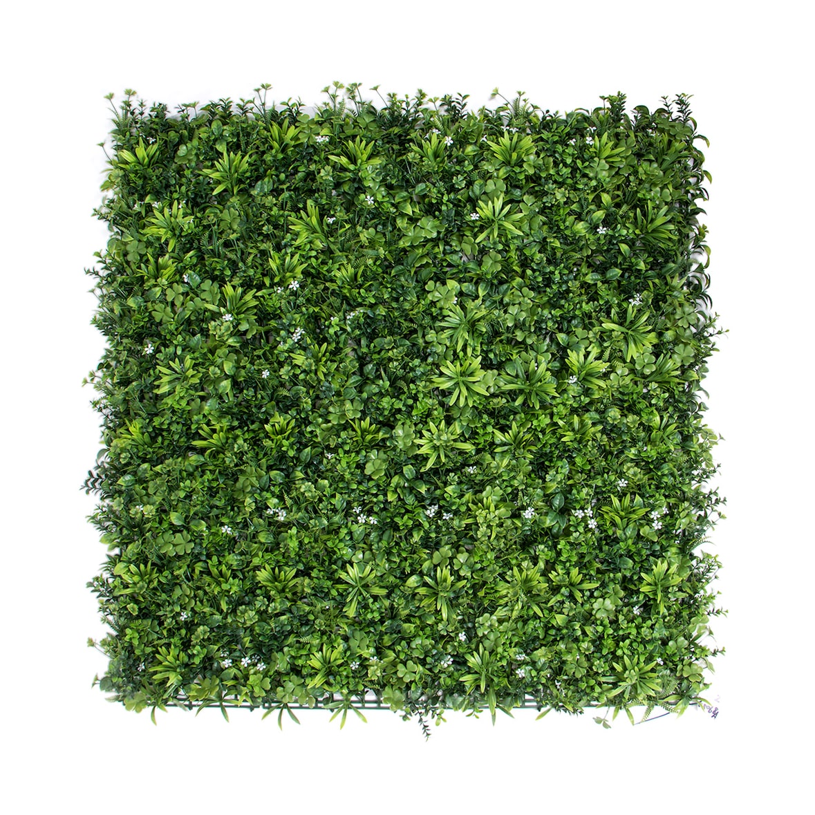 Rolo Jardim Vertical Jasmin 100 X 100 Cm