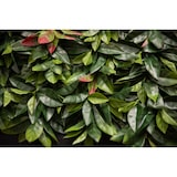 thumbnail of jardins verticais artificiais Laureado. NATURING MONDE 100x100cm.  100% HDPE.