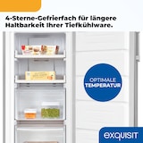 thumbnail of Exquisit Gefrierschrank, 161 Liter, No-Frost, LED-Anzeige, leise, GS5231-NF-H-040C inoxlook
