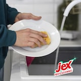 thumbnail of Jex professionnel liquide vaisselle main pomme 5L - ulta concentré