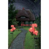 thumbnail of LED-Solar-Erdspieß "Blume" h:79cm rose