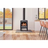 thumbnail of FUNDICIO – Gusseiserner Holzofen Modell INA, 5 kW – ECODESIGN