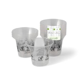 thumbnail of greenbox - Smoothie Becher aus PLA 200 ml / 8 oz, Ø 96 mm, 50 St.