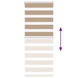 thumbnail of vidaXL Doppelrollo Sandbraun 60x150 cm Stoffbreite 55,9 cm Polyester
