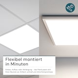 thumbnail of LUXULA LED Panel LX-62-4000-BL-EL 36 W 4000 K neutralweiß