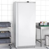 thumbnail of GastroHero Lagertiefkühlschrank SFH60V | 590 Liter | Profi Gefrierschrank | Stahlblech | Umluftkühlung | -18 bis -22 °C | energieeffizient