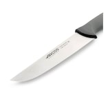 thumbnail of Arcos Couteau de boucher HACCP 20 cm