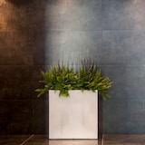 thumbnail of WellHome - Vaso de Bronze "Coleção Astra" 30L 70x70cm