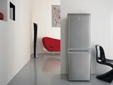 thumbnail of Frigorífico combi de libre instalación Indesit CAA 55 NX 1 Inox NEL F