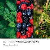 thumbnail of Duftkerze Candle Brothers Winter Wonderland, Kerze im Glas, 2 Dochte, 510g, 100h Brenndauer, Raumduftkerze, grün-rot
