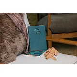 thumbnail of Clairefontaine 4x Ginkgo, Notizbuch aus Leder, A5 14,8x21 cm, 72 Blatt liniert 90g, sortiert - 115949C