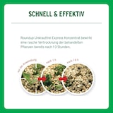 thumbnail of Roundup Express Unkrautfrei Sprühsystem 3 Liter Anwendungsfertig