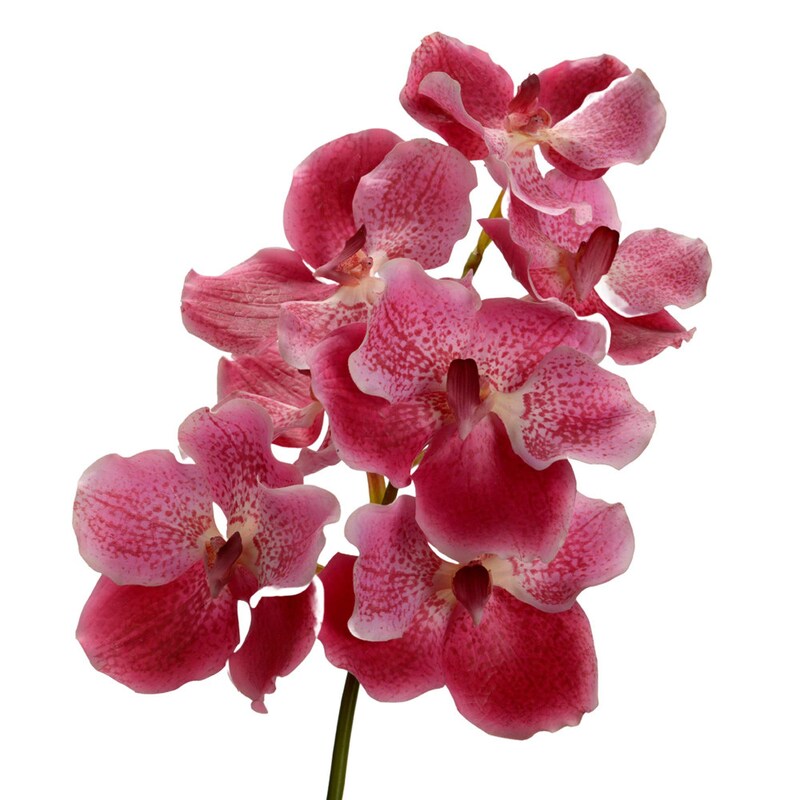 mobile_image