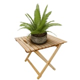 thumbnail of Tisch Buche hell klappbar Beistelltisch, Gartentisch 10-350 N