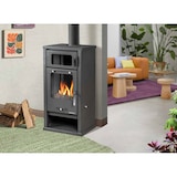 thumbnail of 5025 Troy - vielseitiger Kaminofen mit Backfach, Leistung: 7,79 kW, Kaminofen, Schwedenofen