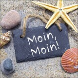 thumbnail of 20 Servietten Papier 33x33cm 3-lagig - hochwertige Einweg Papierservietten maritimes Motiv & Spruch Partyservietten Seestern Muscheln Tischdeko Strand