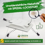 thumbnail of Brotkäfer Falle mit Spezial-Lockstoff: 15