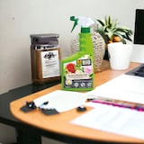 thumbnail of Insetticida spray 750 ml a base di piretro ad azione rapida per piante e fiori Compo Bio
