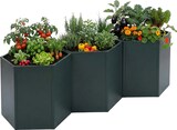 thumbnail of 3er-Set Hochbeet HWC-P64, Metallhochbeet Gemüse-/Pflanzbeet Blumenkasten Pflanzkübel Stahl 77x264x100cm ~ grün