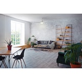 thumbnail of SPC Conforto DC Max 2 – Ventilador de techo, luz regulable, motor DC 43W supersilencioso, Ø132 cm, WiFi y mando a distancia