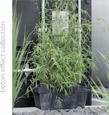 thumbnail of Prosperplast - CUBE BETON EFFECT 0,6L Topf - 11x11x9,7cm in Betongrau farbe