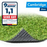 thumbnail of Kunstrasen Cambridge - Rasenteppich für Balkon, Terrasse & Garten - Höhe 25 mm, Gewicht 1500 g/m² / 200 x 150 cm