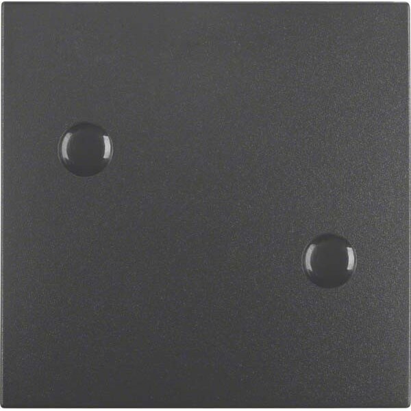 Berker Wippe anschraubbar 15701606