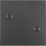 thumbnail of Berker Wippe anschraubbar 15701606