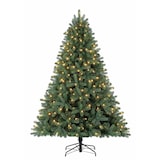 thumbnail of Tarrington House Albero di Natale illuminato, metallo/pvc, Ø 150 x 210 cm, con 300 luci LED, verde