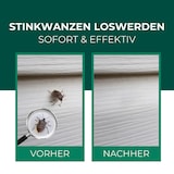 thumbnail of Stinkwanzenspray: 12 x 500 ml