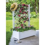 thumbnail of Fioriera Italia Rettangolare con Spalliera Stefanplast CM.100x43x142h Bianco