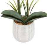 thumbnail of Plante artificielle Orchidée Blanche pot en céramique striée H 65 cm