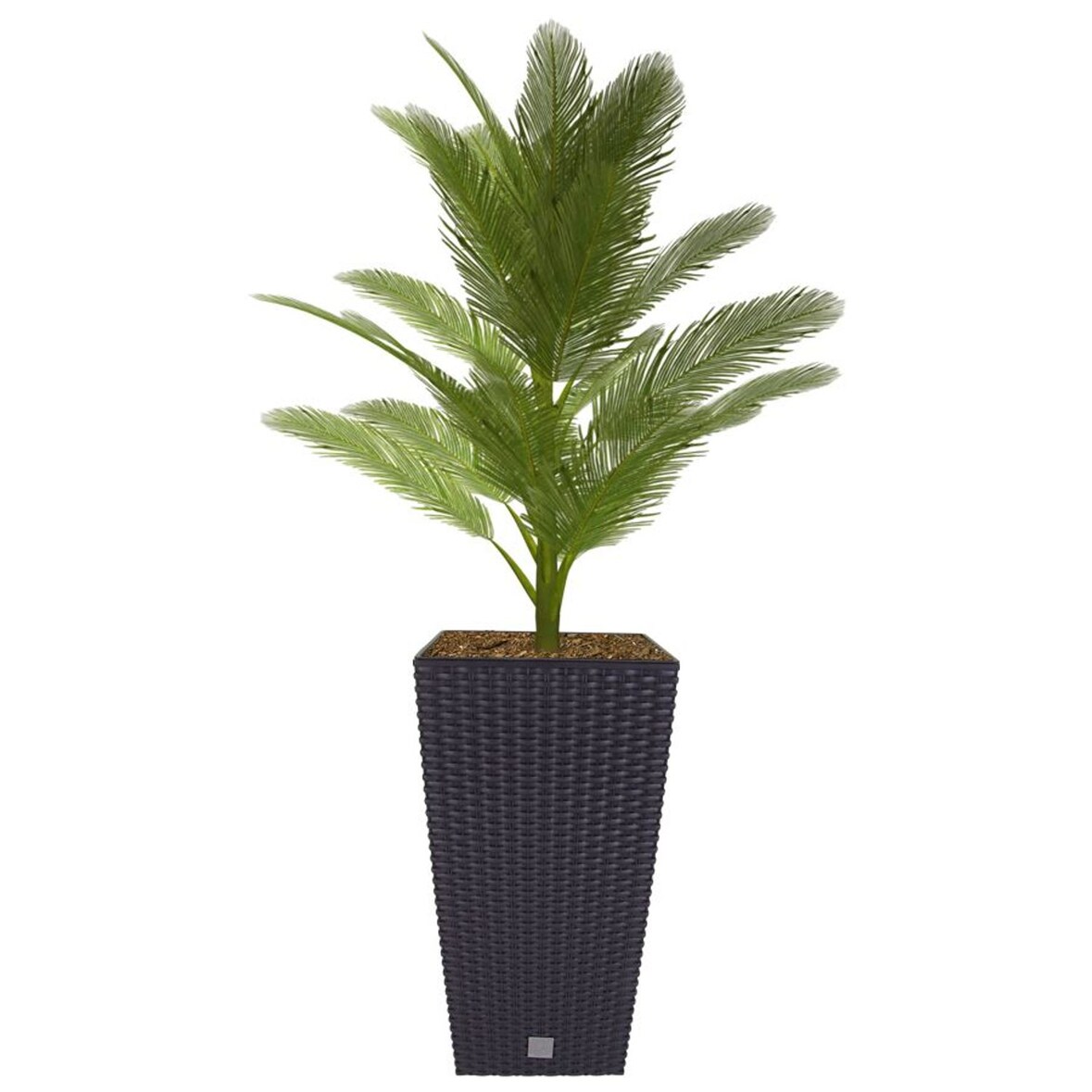 Polyrattan Pflanztopf mit Einsatz 50,5cm anthrazit Blumentopf Pflanztopf Kübel Anthrazit 50,5