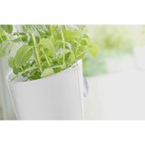 thumbnail of Kräuter- und Pflanzenleiter Kräutertopf RELOADED 202200101-HE