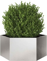 thumbnail of vidaXL Pflanzkübel Sechseckig 104x90x45 Edelstahl