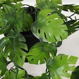 thumbnail of LIGNE DÉCO Plante succulente retombante artificielle 50cm lot de 2