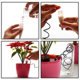 thumbnail of Prosperplast - Dispensador de Irrigação IDOZ - 3x3x3,5cm