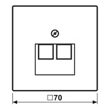 thumbnail of Jung Abdeckung für IAE/UAE LC 969-2 UA 204 LC969-2UA204