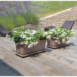 thumbnail of Nicoli Vaas Grote Bloempot Met Onderschaal - Afmetingen: 100 cm | Kleur: Zwart