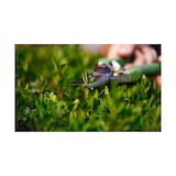 thumbnail of Cisaille Coupe branches VITO Lame Courbée Acier forgé Ebrancheur 2 mains Bras Télescopiques Longueurs 62 - 94 cm jardinage