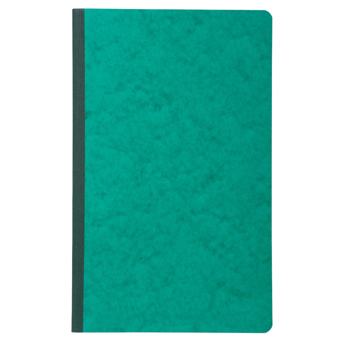 Exacompta - Réf. 7730E - 1 Piqûre 32x19,5cm recettes-dépenses 80 pages - Couleurs aléatoires