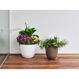 thumbnail of TERA eleganter OVER Blumentopf, Polyethylen-Pflanzgefäß für drinnen/draußen, 5mm Dicke, raue Oberfläche, Wasservorrat, Durchmesser 38cm, schwarz