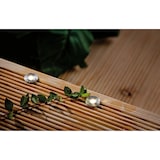 thumbnail of Paulmann Plug & Shine LED-grondinbouwlamp MicroPen II Basisset  IP67 3000K 5x0,2W  21VA Zilver 93695