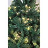 thumbnail of Tarrington House Albero di Natale illuminato, metallo/pvc, Ø 150 x 210 cm, con 300 luci LED, verde