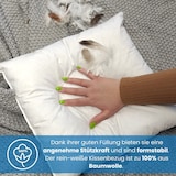 thumbnail of 4er Set Federkissen 100% Federn 40x60 - 600g OEKO-TEX Kissen Füllkissen Bezug Baumwolle weiß / Innenkissen / Kissenfüllung / kleine Kopfkissen / Sofak