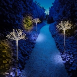 thumbnail of LED Gartenstecker Feuerwerk Firework mit Fernb Leuchtstäbe 3er Set weiß