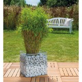 thumbnail of Wilk Gabione Futura M