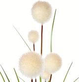 thumbnail of Atmosphera - Künstliche Zuckerrohrpflanze 12x91cm