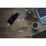 thumbnail of Kit Pieton Oreillette Akashi Altintratypcwh